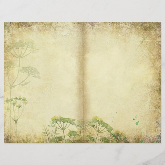 Page Journal des Herbes de prairie (Devant)