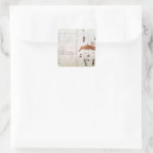 Pagina 15 van een Herbarium Vierkante Sticker (Tas)