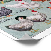 pagina Kippen Boek Poster (Hoek)