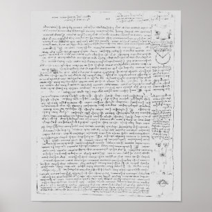 Pagina van de Codex Leicester, 1508-12 Poster