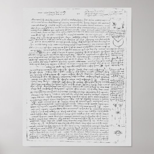 Pagina van de Codex Leicester, 1508-12 Poster (Voorkant)