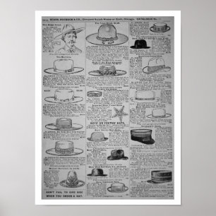 Pagina's uit de zegen, Roebuck van Chicago, catalo Poster