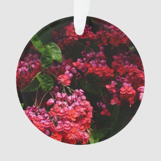 Pagoda Flowers Colorful (devant)