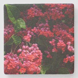 Pagoda Flowers Colorful Red en Roze Stenen Onderzetter