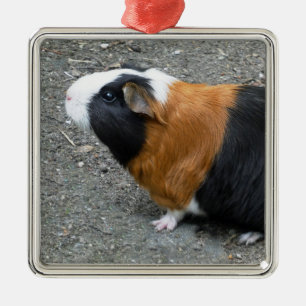 Paigfoto Metalen Ornament