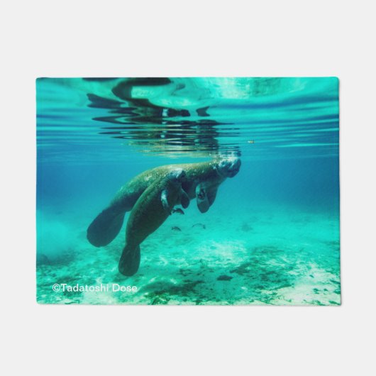 PAILLASSON マナティー写真 (Devant)