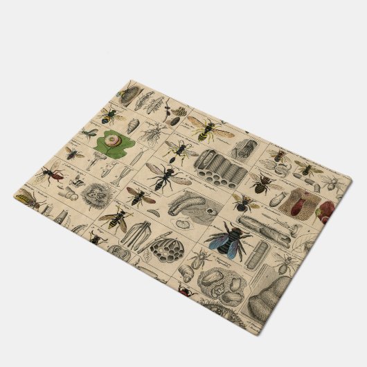 Paillasson Abeille Insecte Bug Wasp Histoire naturelle abeill (Incliné)