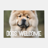 Paillasson Accueil Chiens (Devant)