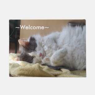 Paillasson Accueil mignon de sommeil Spiegeland de chat