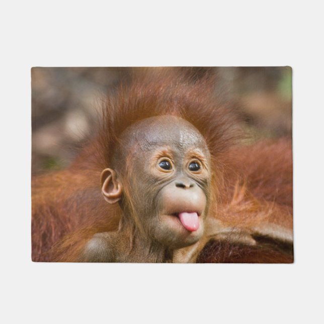 Paillasson Affaires de singe (Devant)