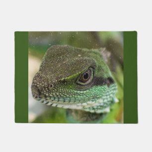 Paillasson Agama, lézard