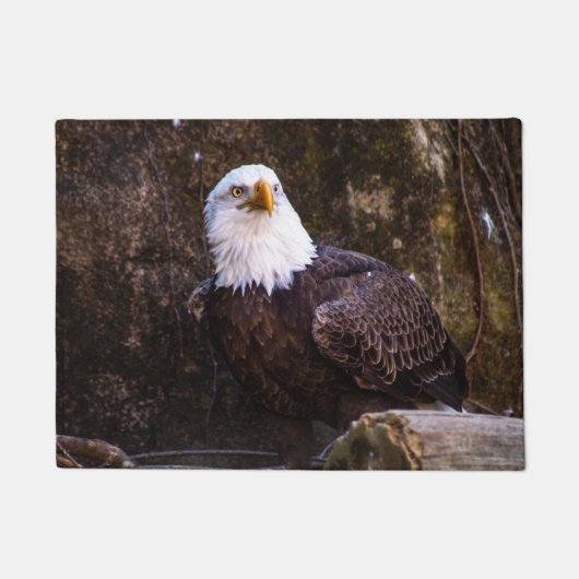 Paillasson Aigle de Bald (Devant)