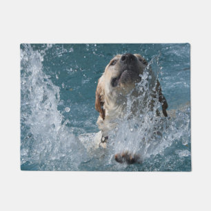 Paillasson Amusement jaune de labrador retriever dans la