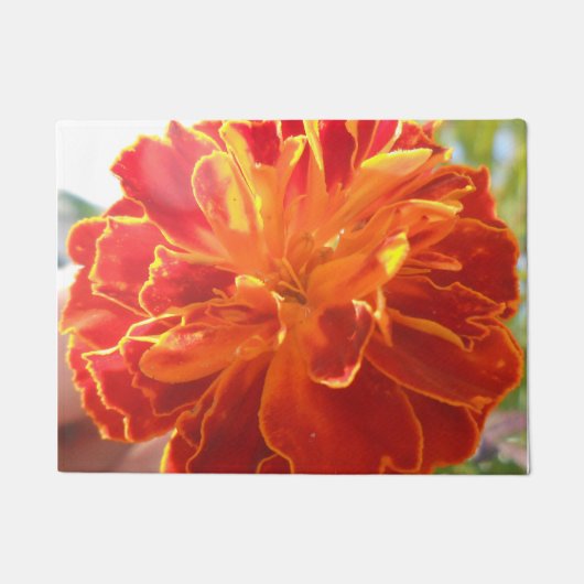 Paillasson Anastaise (Devant)