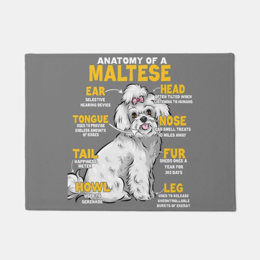 Paillasson anatomie d'un amoureux des chiens maltais (Devant)
