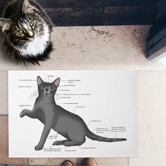 Paillasson Anatomie d'un chat