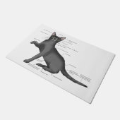 Paillasson Anatomie d'un chat (Incliné)