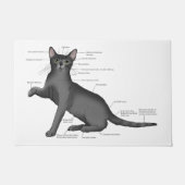 Paillasson Anatomie d'un chat (Devant)