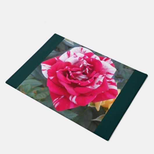 Paillasson Ancienne (Incliné)