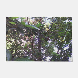 Paillasson Arbre d'avocat