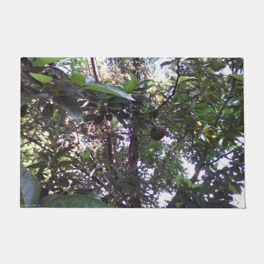 Paillasson Arbre d'avocat (Devant)