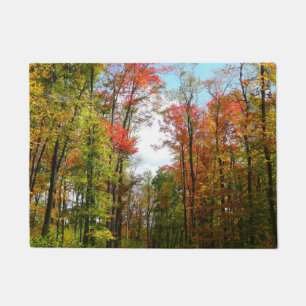 Paillasson Arbres d'automne et ciel bleu Photographie de la n