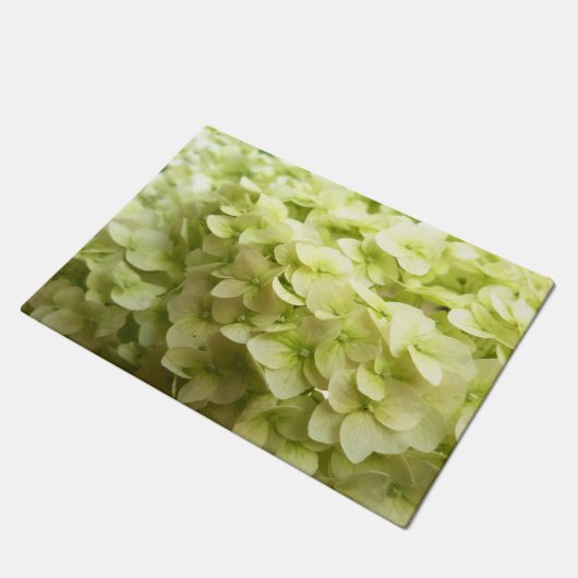 Paillasson Arrière - plan blanc de fleur d'hortensia (Incliné)