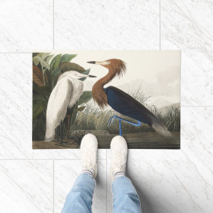 Paillasson Art vintage d'Audubon représentant l'Aigrette rous