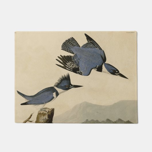 Paillasson Audubon Belted Kingfisher Wildlife Bird (Devant)
