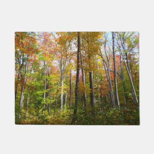 Paillasson Automne Forêt I Automne Paysage Photographie