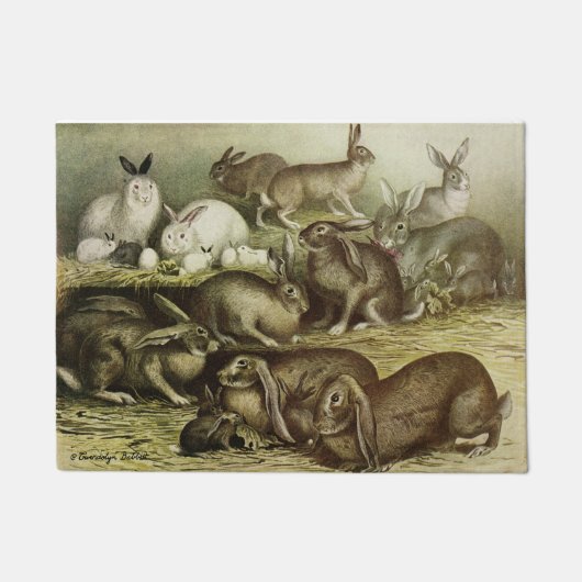 Paillasson avec groupe de lapins et de lapins vint (Devant)