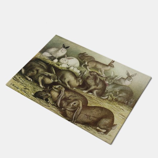 Paillasson avec groupe de lapins et de lapins vint (Incliné)
