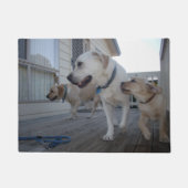 Paillasson Baisers de chiot : Crème Couleur Labrador Amour de (Devant)