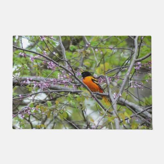 Paillasson Baltimore Oriole (Devant)