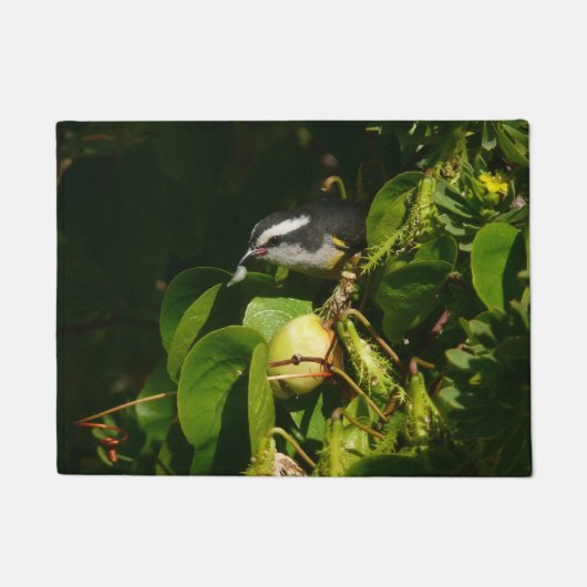 Paillasson Bananaquit Bird Mange Photographie tropicale (Devant)