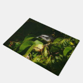 Paillasson Bananaquit Bird Mange Photographie tropicale (Incliné)