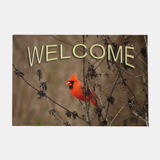 Paillasson Beau Cardinal du Nord  (Devant)