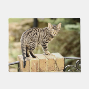 Paillasson Beau chaton noir gris du Bengale