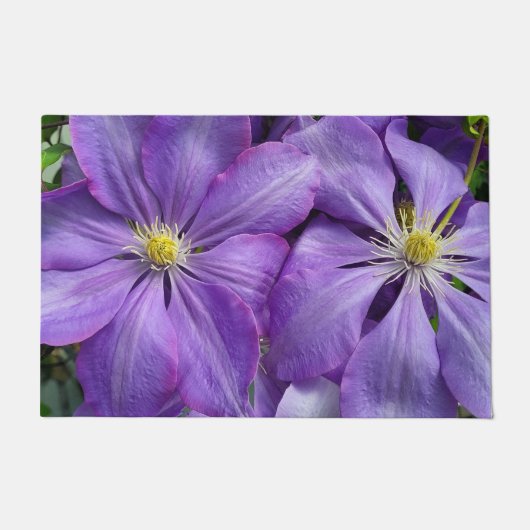 Paillasson beauté clematis violette (Devant)