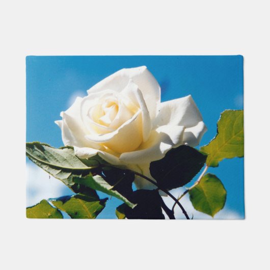 Paillasson Beauté de Rose blanche (Devant)