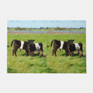 Paillasson Bébé Ceinturé Galloway Vaches Dans Le Pays, Porte