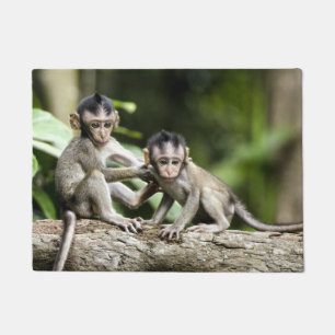 Paillasson Bébés singes dans la nature