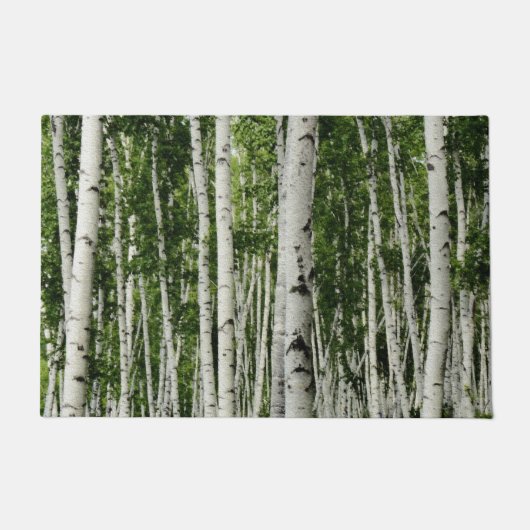 Paillasson Belle forêt de bouleaux (Devant)