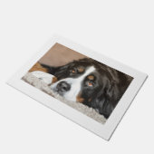 Paillasson bernèse pondeuse (Incliné)