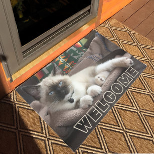 Paillasson Bienvenue adorable Blue Eyed Siamese Kitten