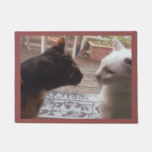 Paillasson Bienvenue aux chats (Devant)