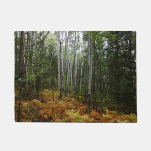 Paillasson Birch Trees blancs et fougères d'automne à Rocky M