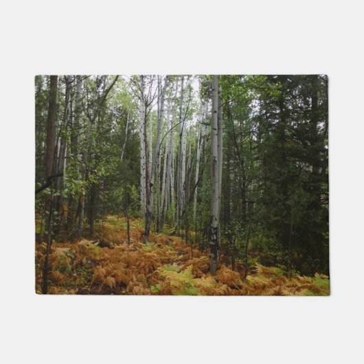 Paillasson Birch Trees blancs et fougères d'automne à Rocky M (Devant)