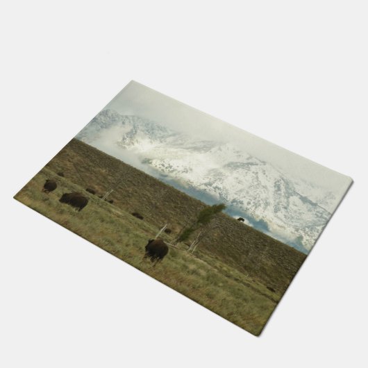 Paillasson Bison à Grand Teton National Park Photographie (Incliné)