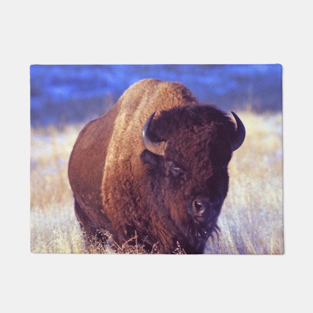 Paillasson Bison américain - Buffalo (Devant)